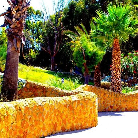 Los Naranjos Guardamar del Segura Dış mekan fotoğraf